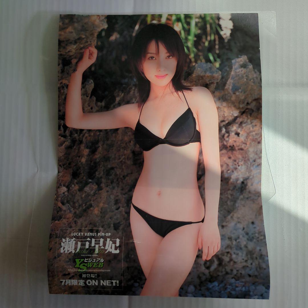 週間 ヤングサンデー　井上和香　他ピンナップ、切り抜きなど　おまけ　【中古】