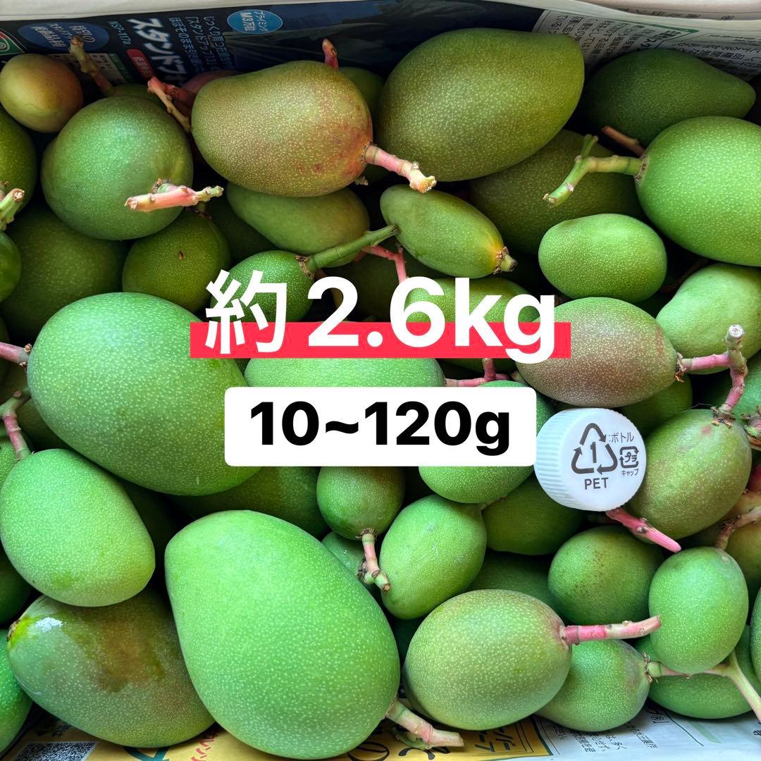 宮崎県産摘果マンゴー・グリーンマンゴー約2.6kg(10~120g) - メルカリ