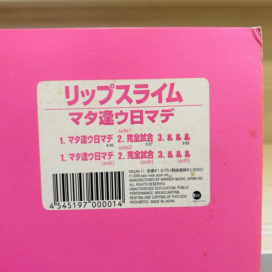 RIP SLYMEリップスライム マタ逢ウ日マデ レコード 日本語ラップ