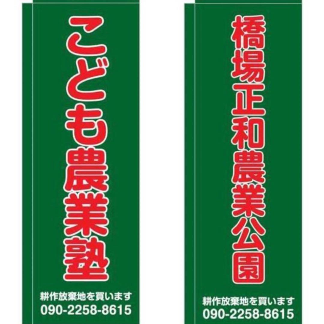 花乙女コレクション【志賀納　桜、通り抜け】購入金額より60％お値引き！！
