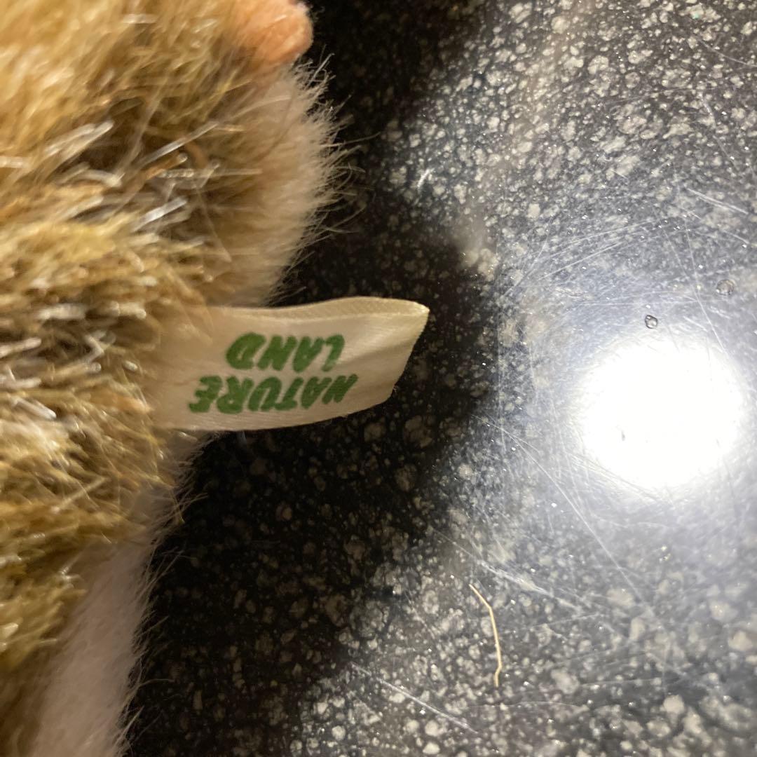 ALFA社NATURE LAND ムササビのぬいぐるみセット - メルカリ