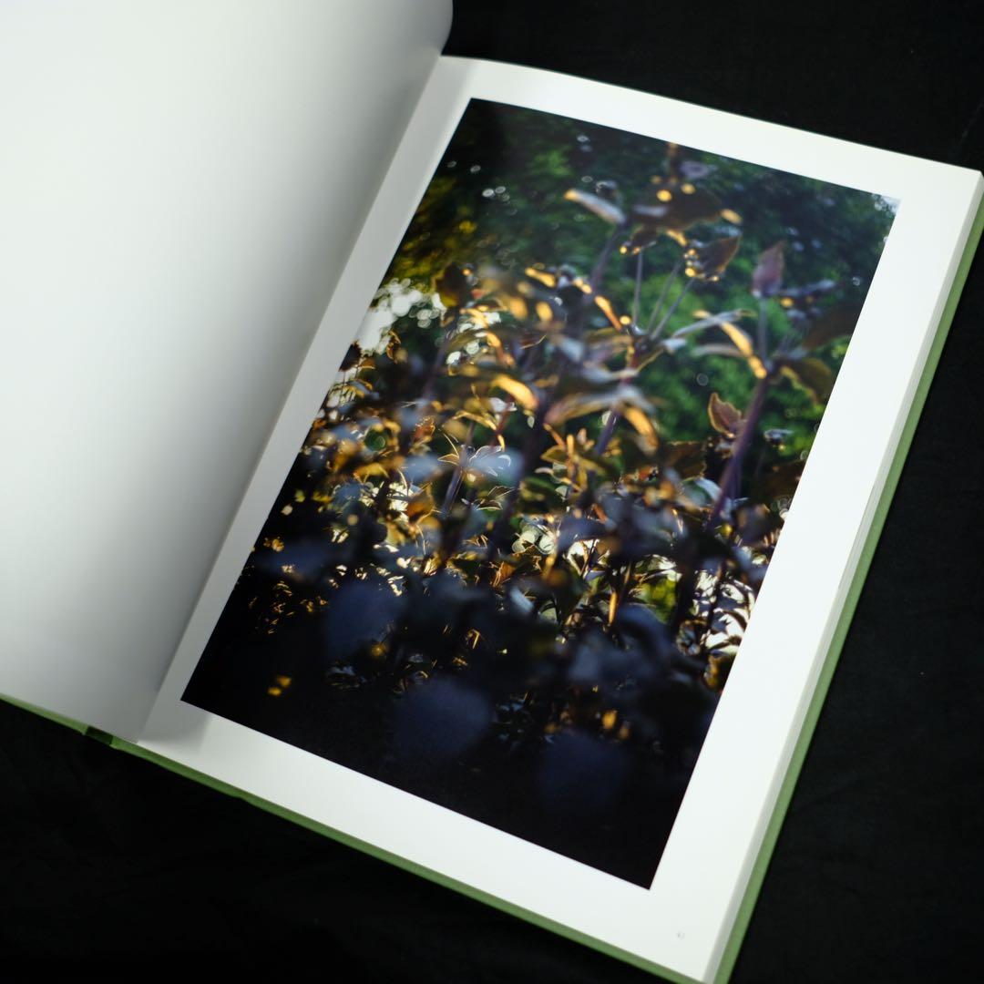 terri weifenbach the may sun 写真集　初版