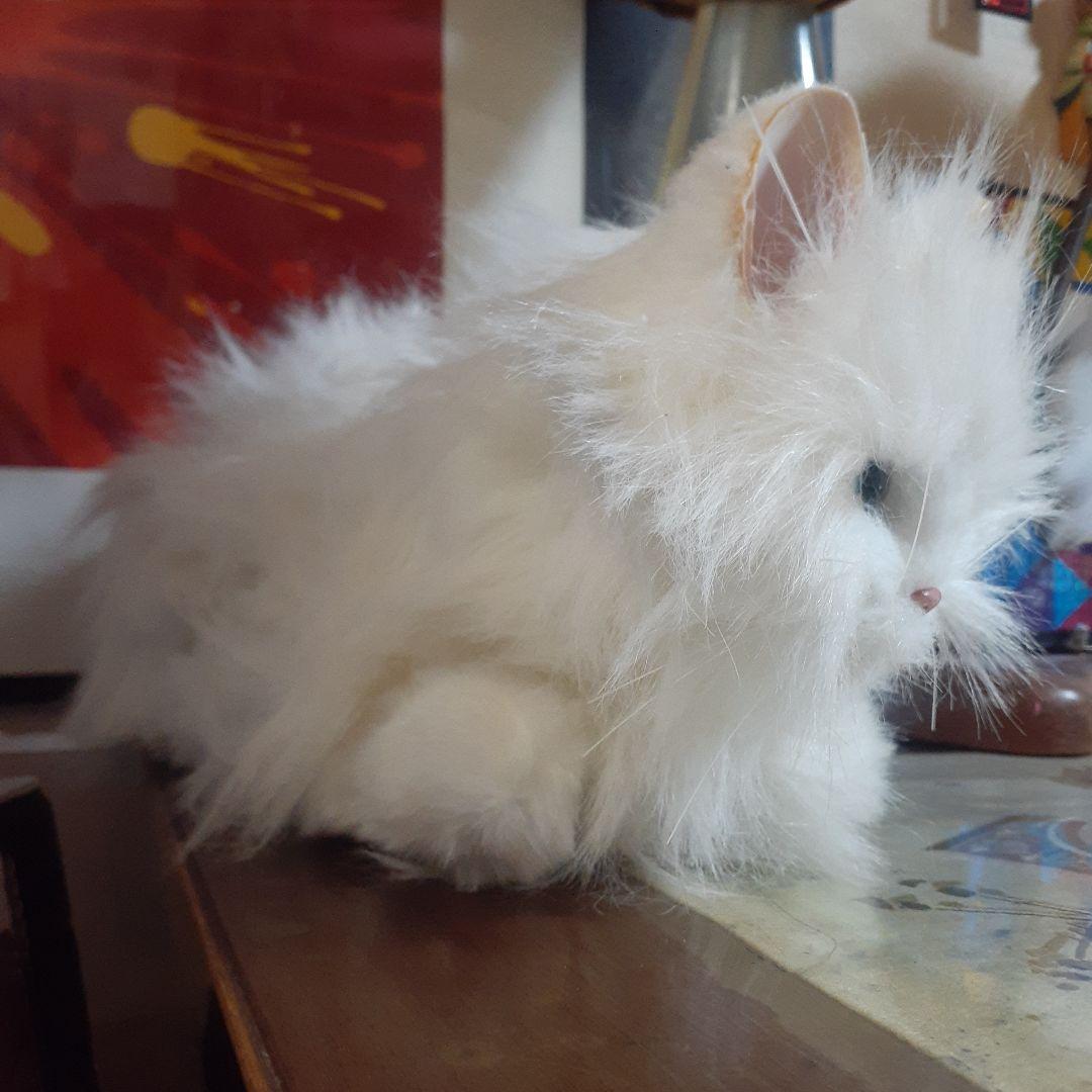 ビンテージ 当時物 リアル猫 バーチャル ゆめ猫 ねこロボット ねこ