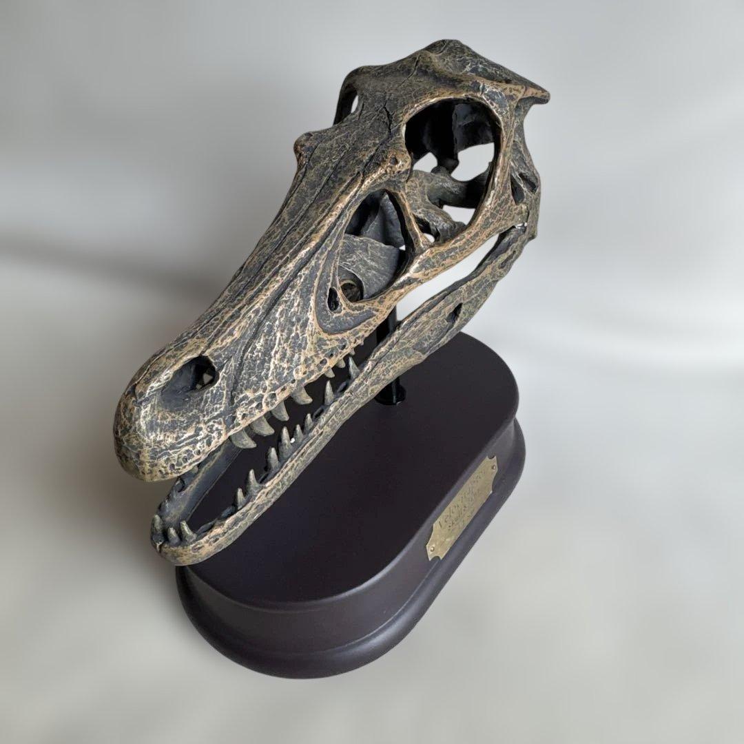 FAVORITE フェバリット ヴェロキラプトル スカル&ジョーズ 1/1