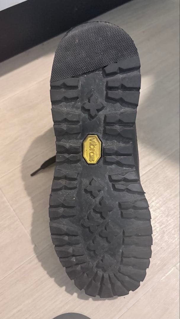 【24.5cm】Danner field【2019年】