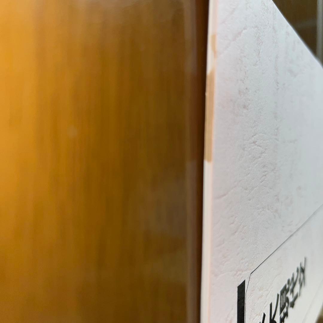 裁断済み】2025京大現代文テキスト 中野芳樹プリント付き - メルカリ