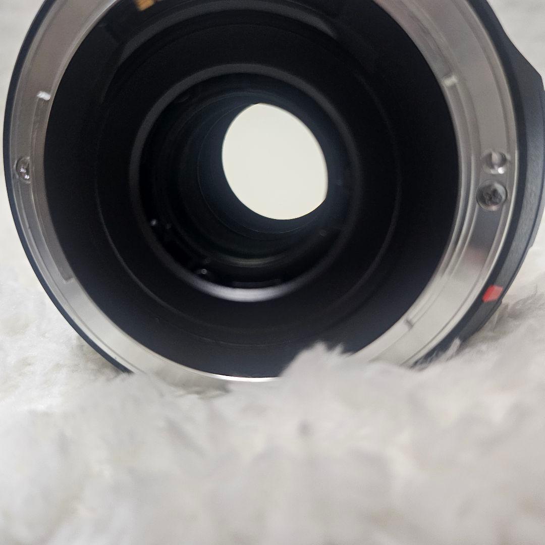 レンズ(ズーム) TAMRON AF 18-270mm F/3.5-6.3 Di II VC