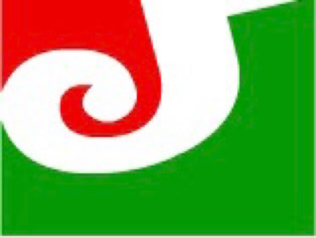 メンマ Masaki Matsushima（マサキ マツシマ） 眼鏡フレーム MF1197 57サイズ