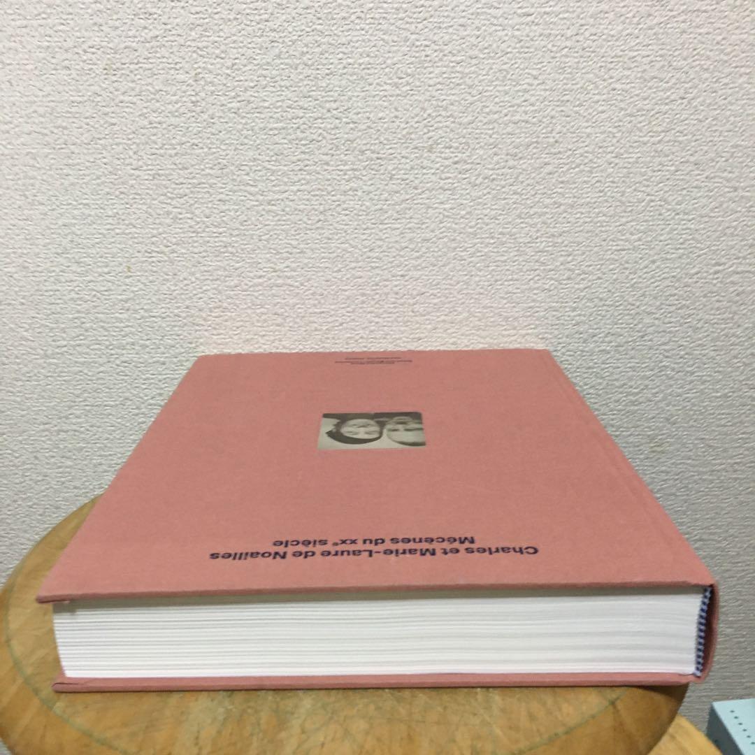 仏文洋書　マリー＝ロール・ド・ノアイユの世紀　交友