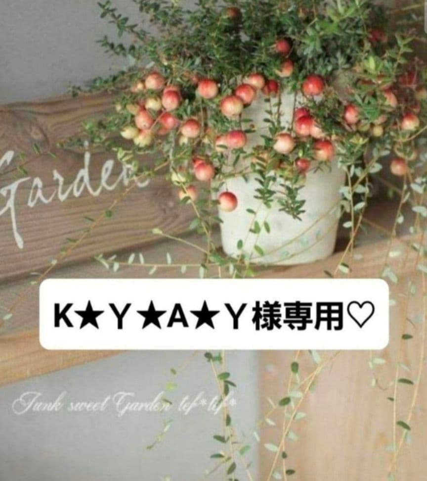 K★Ｙ★A★Yさま専用ページです♬.*゜ Amazon.co.jp: A☆M☆O☆Y☆A☆M☆O: ミュージック