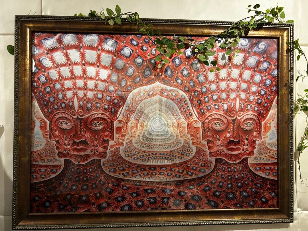 Alex grey約1メートル特大フレーム額縁付き シェイプ A1 ポスターフレーム アルミ製 額縁 大型 特大 軽量 AR-SH-A1