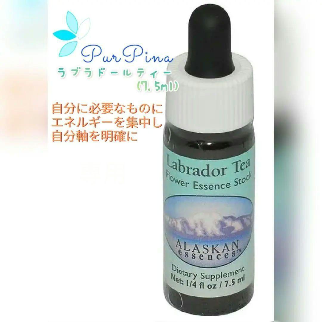 【予約品】ラブラドールティー 　アラスカンエッセンス　フラワーエッセンス ラブラドールティー《アラスカンエッセンス》7.5ml｜フラワーレメディ