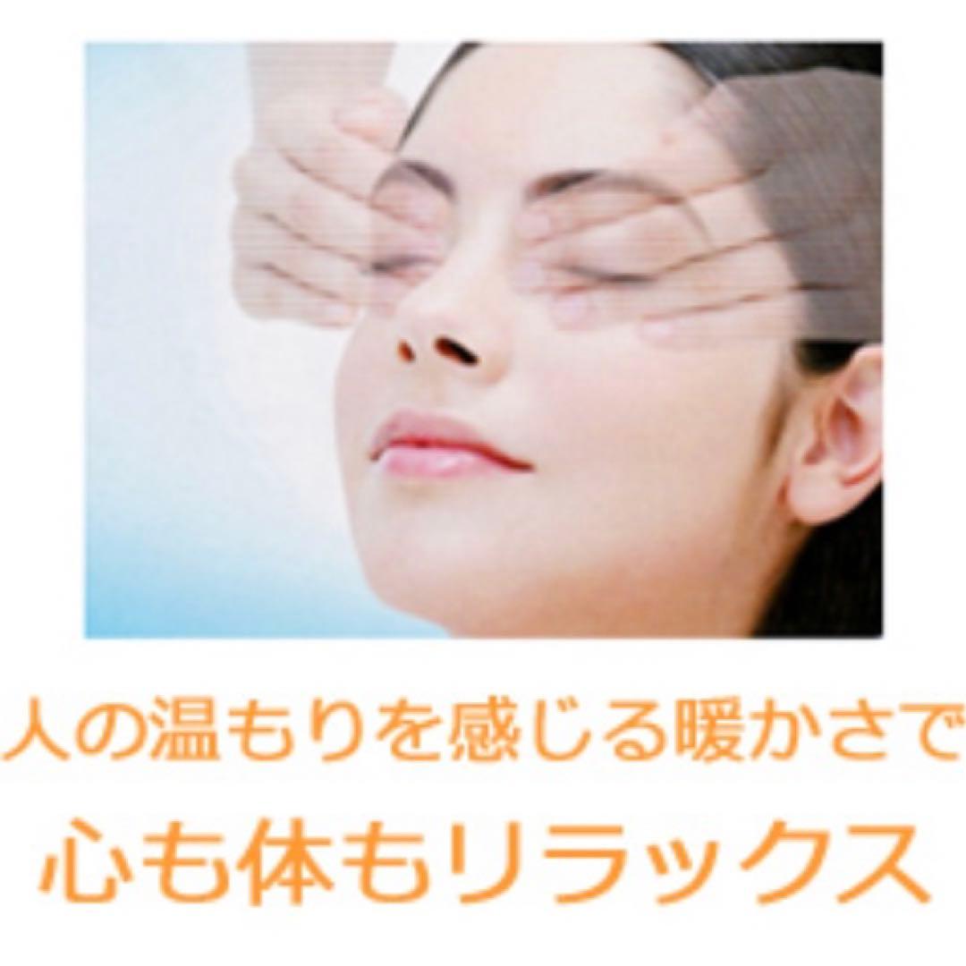 目　エステ　マッサージ　アイフィットソリューション 定価24,200円