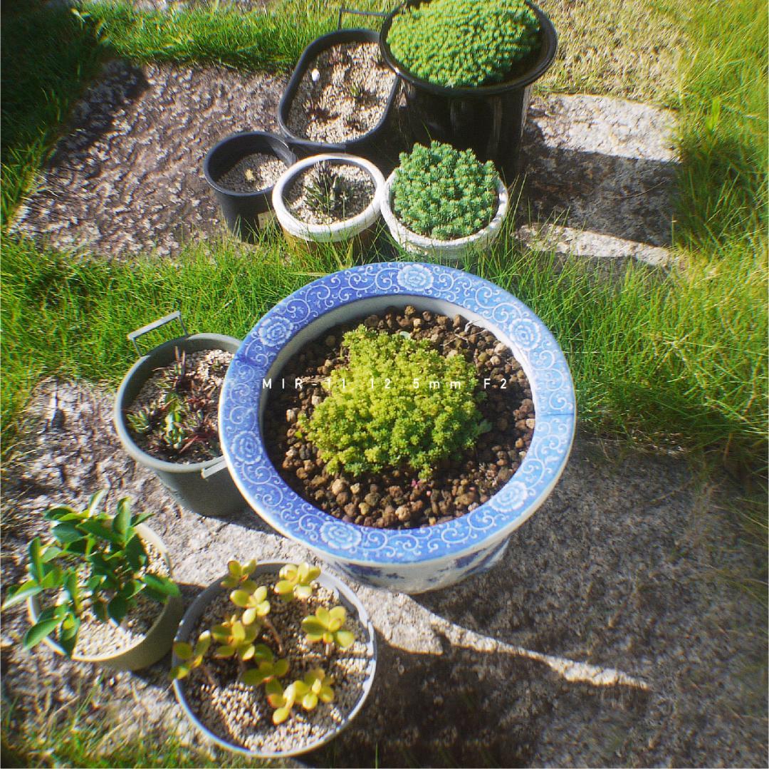 ★希少★星型絞り MIR-11 12.5mm F2 M42改造 シネレンズ