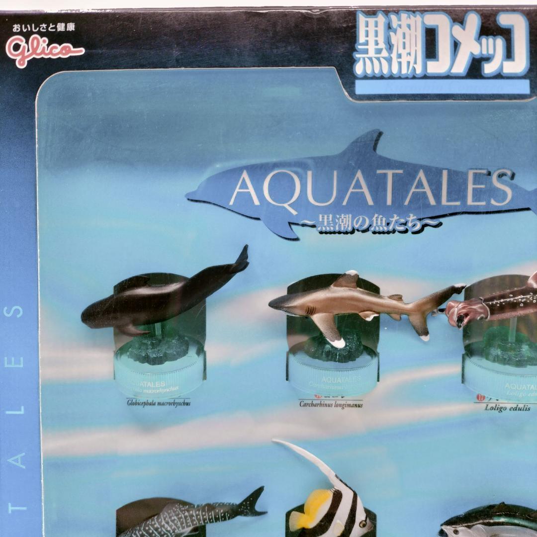 非売品】黒潮コメッコ 第2弾 販促用 BOX アクアテイルズ フィギュア