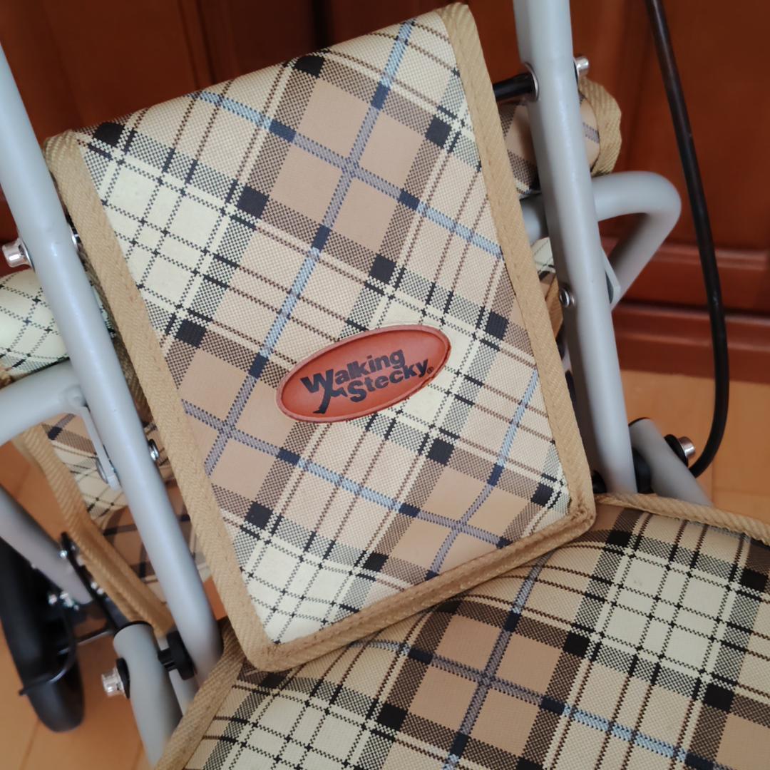 アルミ製コンパクトシルバーカー OD-07 Walking stecky - メルカリ