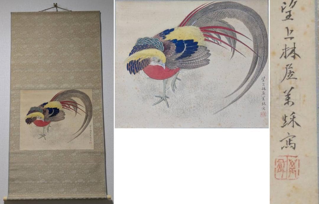 【真作】掛軸　錦鶏　金鶏鳥　日本画　古画　美術掛け軸　共箱入　U111 真作】掛軸 錦鶏 金鶏鳥 日本画 古画 美術掛け軸 共箱入 U111 - メルカリ