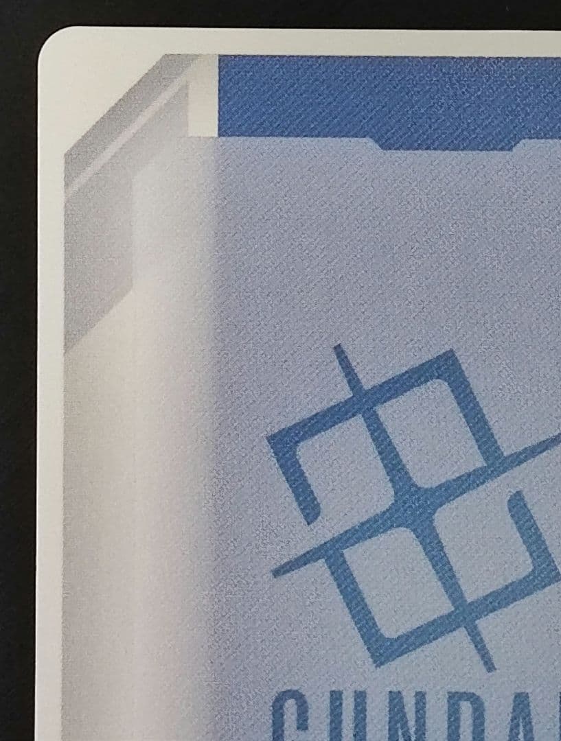 予期せぬ出来事　パラレル　ショップバトル優勝　　プロモ