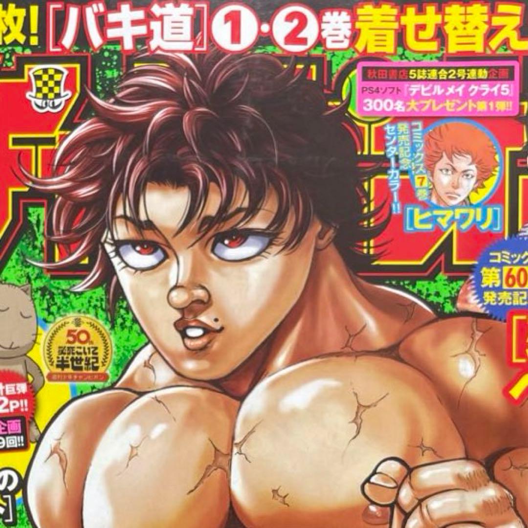 バキ道 着せ替えカバー 野見宿禰 範馬刃牙 - メルカリ