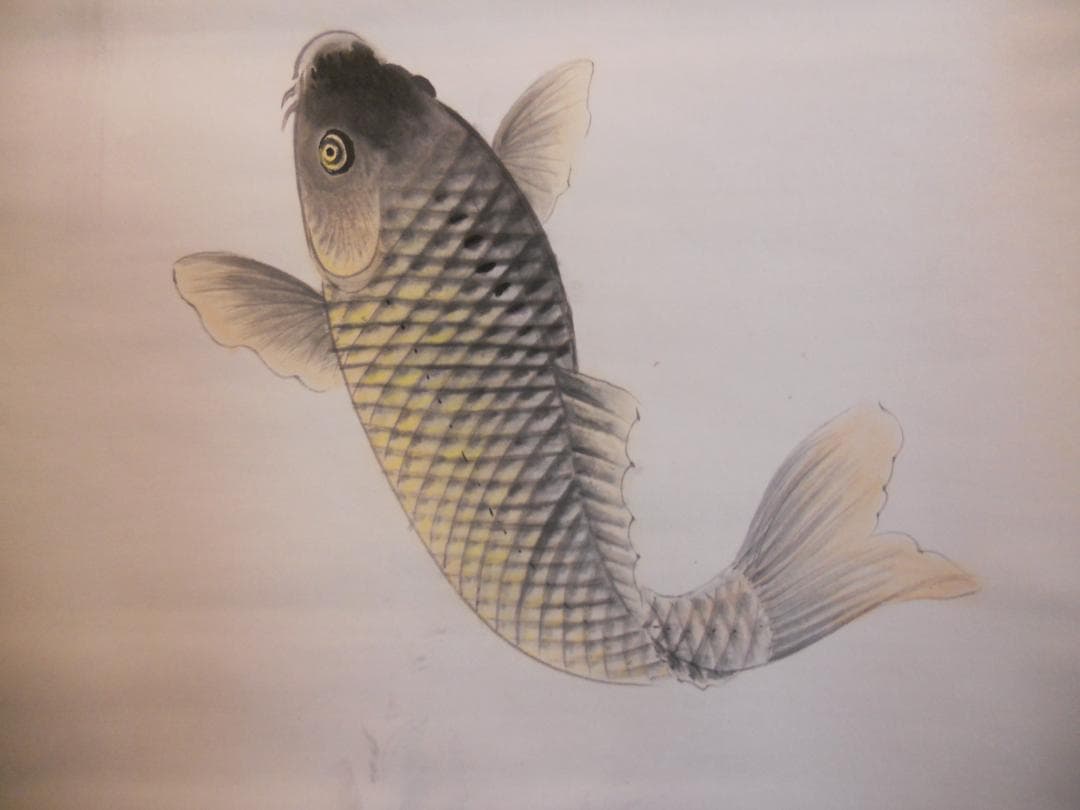 掛け軸 月秀 鯉の滝登り 紙本 希少 軸装 茶道具 掛軸 美品