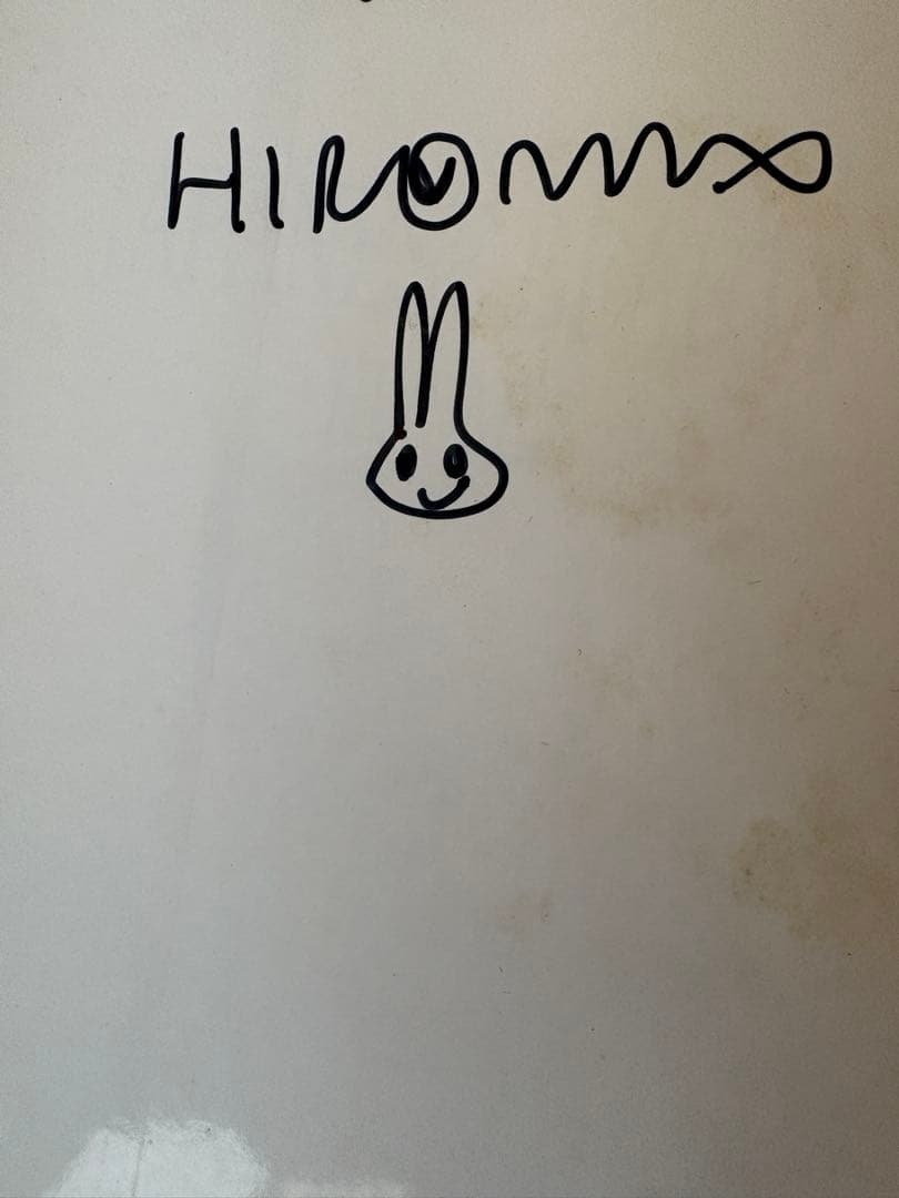 JAPANESE BEAUTY HIROMIX写真集 直筆サイン 期間限定価格！