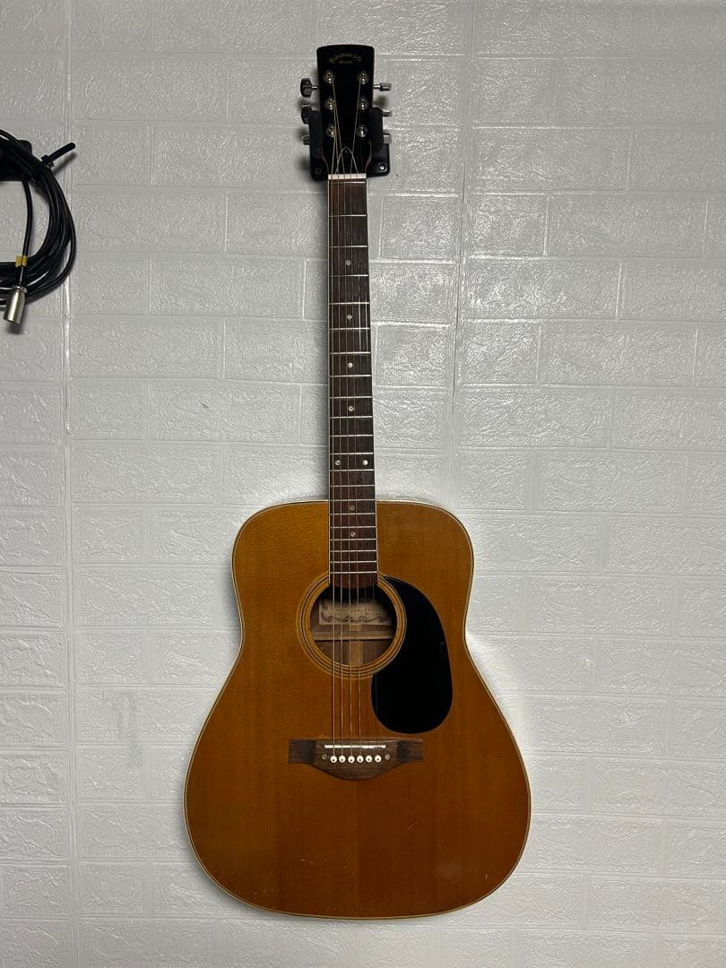 価格相談可【レア】Takamine Deluxe ゼロフレット ハードケース付き