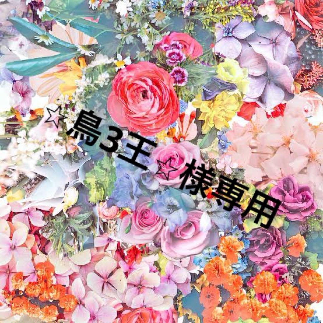 ⭐︎鳥3王⭐︎ 31143.png?fit=bounds&format=