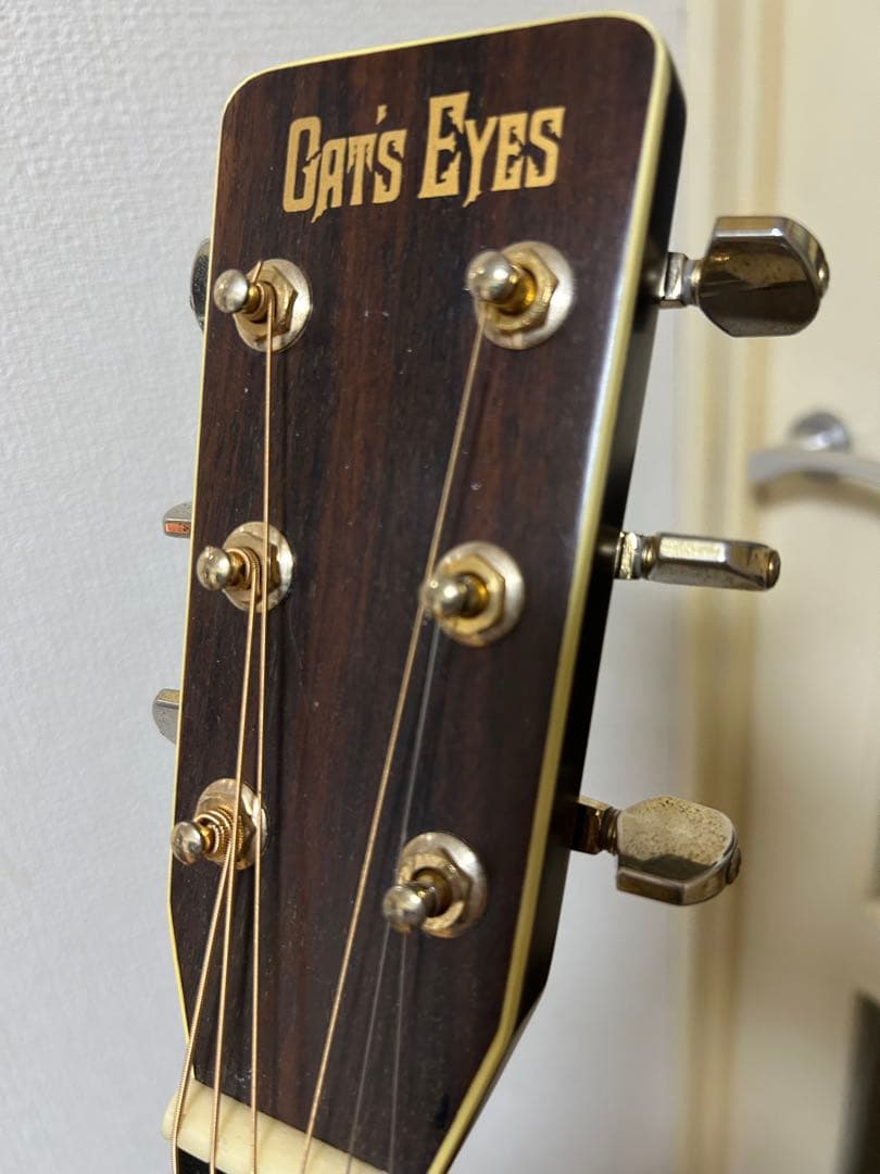 Cat's Eyes CE-500 大文字ロゴ アコースティックギター - ギター送料