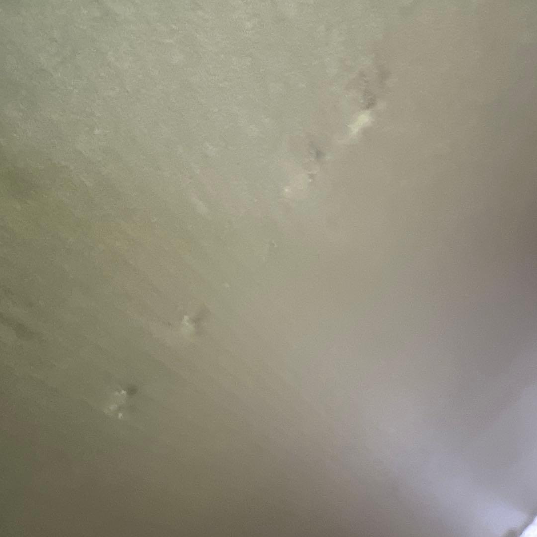 蒼樹うめ　複製原画 大和撫子になりたいのに！