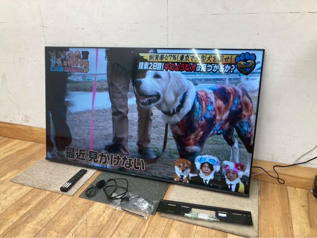 【展示品】ハイセンス　65E6K 2024年製　4K液晶テレビ　直接引取り対応 ハイセンス ハイセンス Hisense 65E6K 液晶テレビ、薄型テレビ - 最