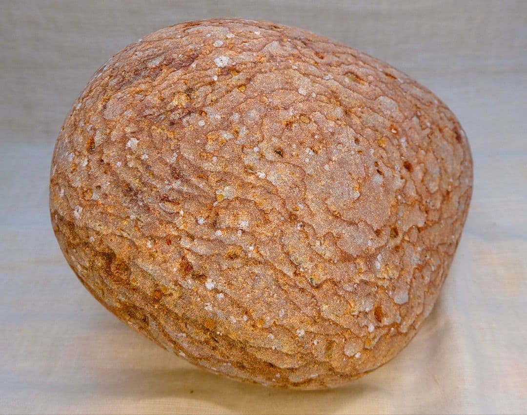 超レア!!姫川薬石赤虎(15)