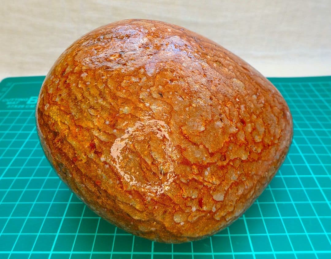 超レア!!姫川薬石赤虎(15)