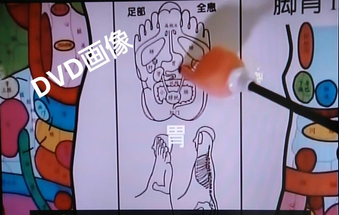 A6:足つぼ（DVD）学ぶ・足部反射療法自己練習用基礎編プロの教材set