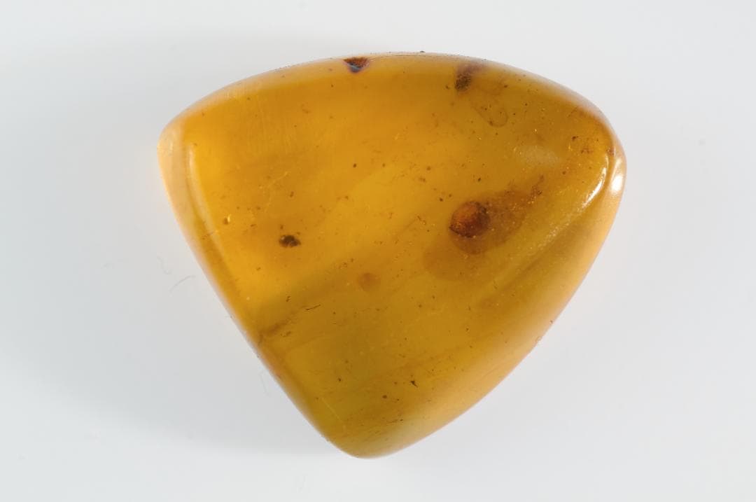 ZB345虫入り琥珀化石 ミャンマー カムティかタナイ産 9900万年前