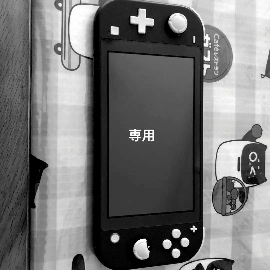 Nintendo Switch Lite グレー 本体 ACアダプター付き 美品 Nintendo Switch Lite グレー 本体 ACアダプター付き - メルカリ