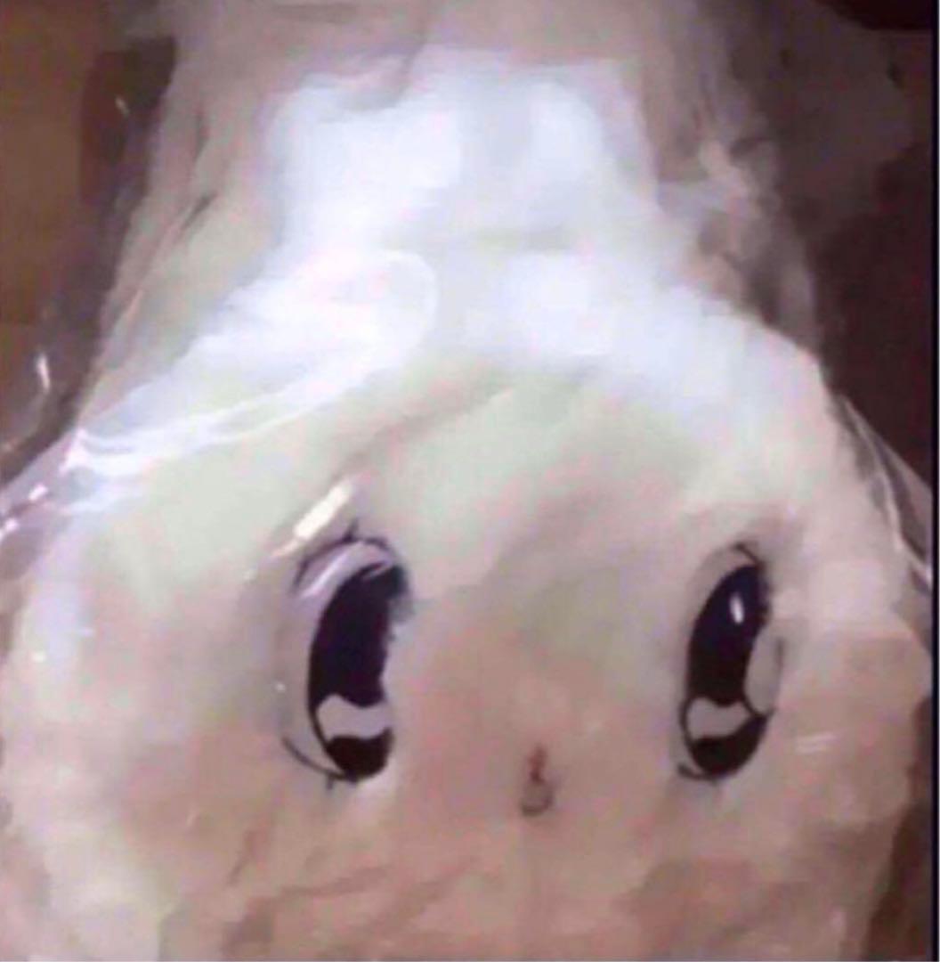 ラスト1点 WC エスターキム コラボ限定 ぬいぐるみクッション抱き枕