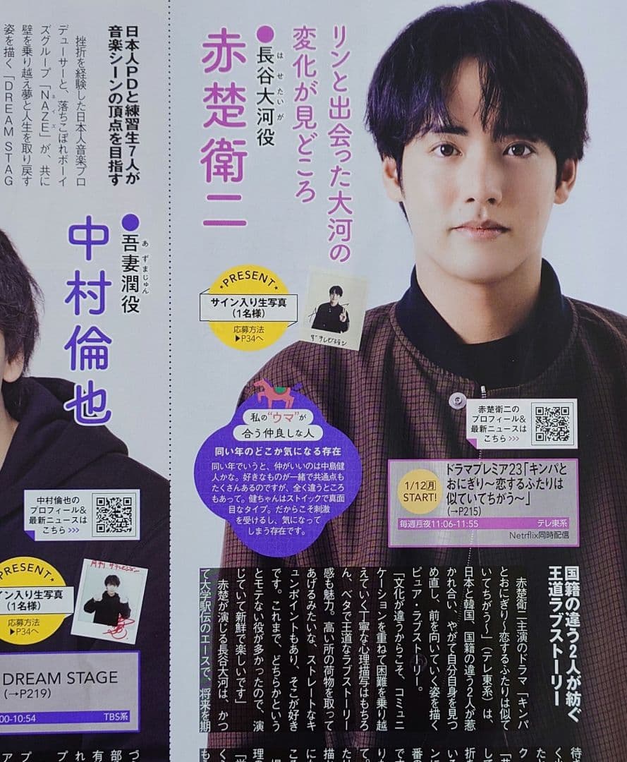 赤楚衛二 切り抜き 月刊ザテレビジョン TVnavi - メルカリ