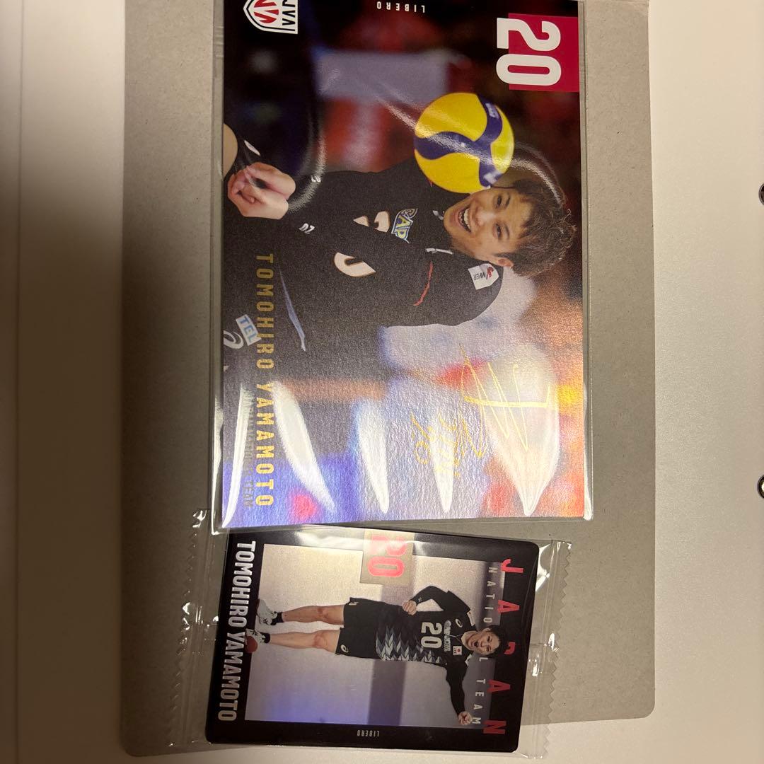 山本智大 男子バレー日本代表 - メルカリ