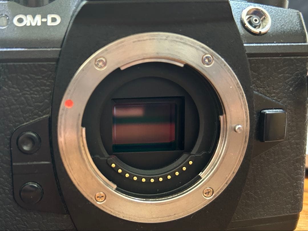 中古⭐︎OLYMPUS　ミラーレス一眼カメラ　OM -D E-M1 markII