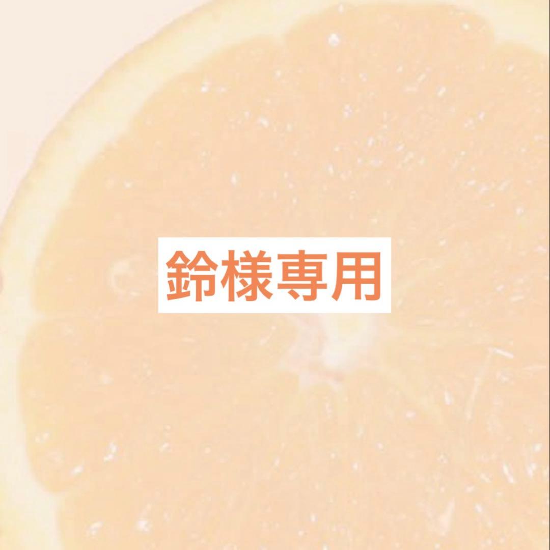 鈴ページ Sea-Doo Alarm Beeper Buzzer 278000978 GTX XP GSX GTI XP LRV 1997