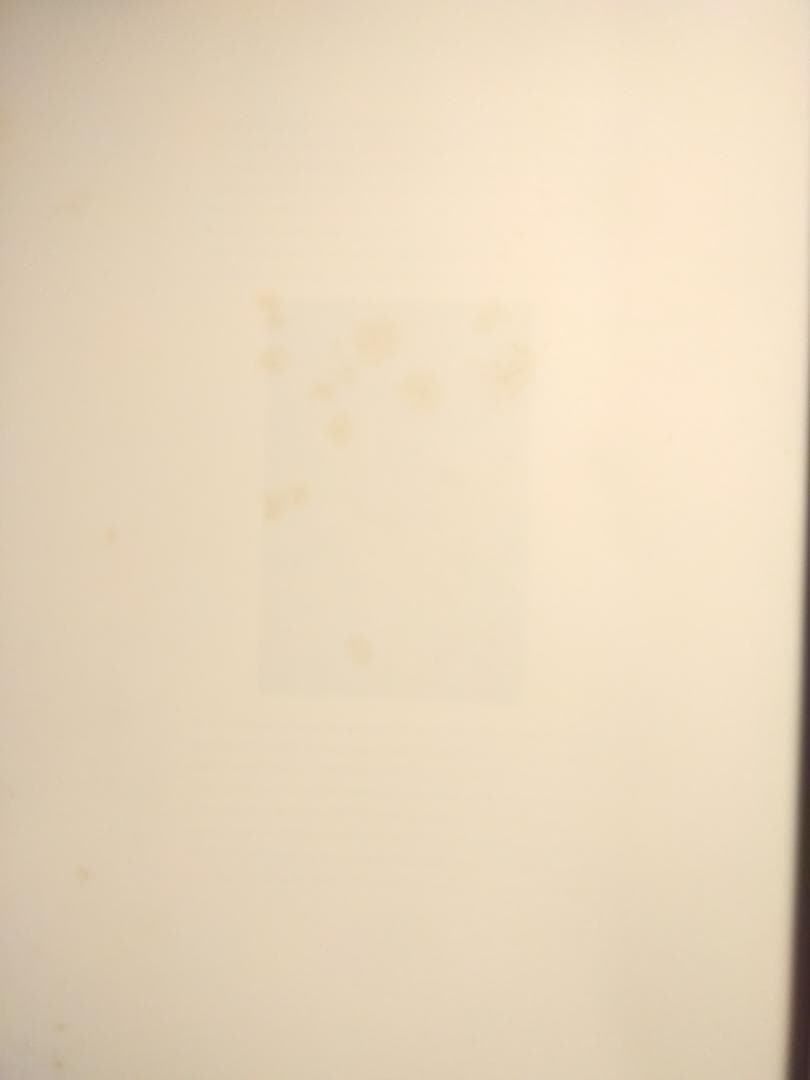 2000部限定写真集Terri Weifenbach Hunter Green - メルカリ