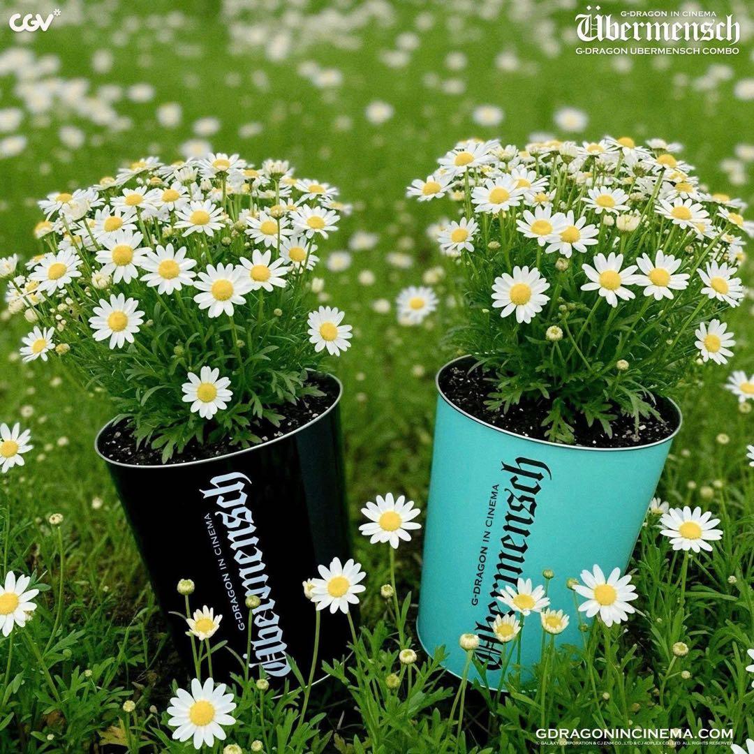 G-Dragon ジヨン Übermensch 海外限定 カップ バケツミント - メルカリ