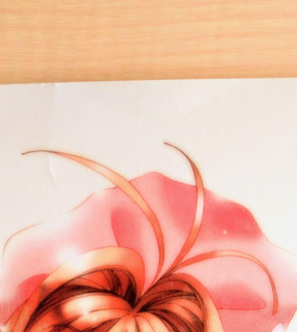 【希少】カードキャプターさくら 同人誌 コゲどんぼ CCさくら