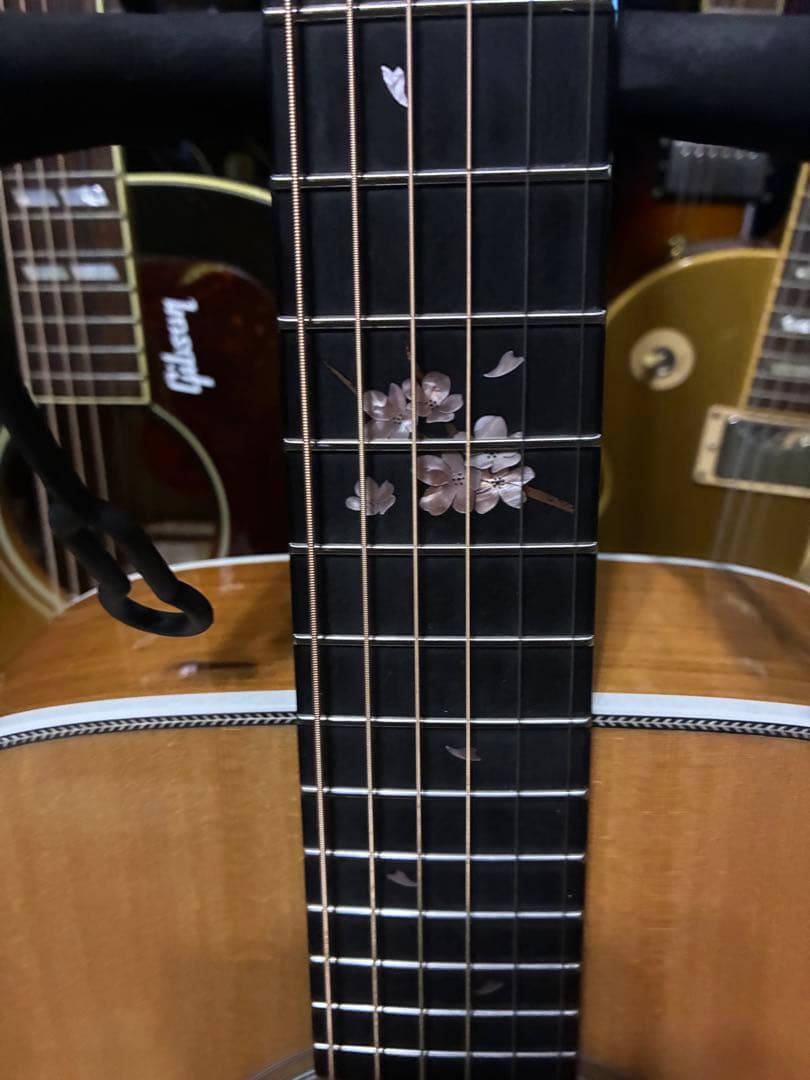 ヘッドウェイ　HF -SAKURA’24S/STD