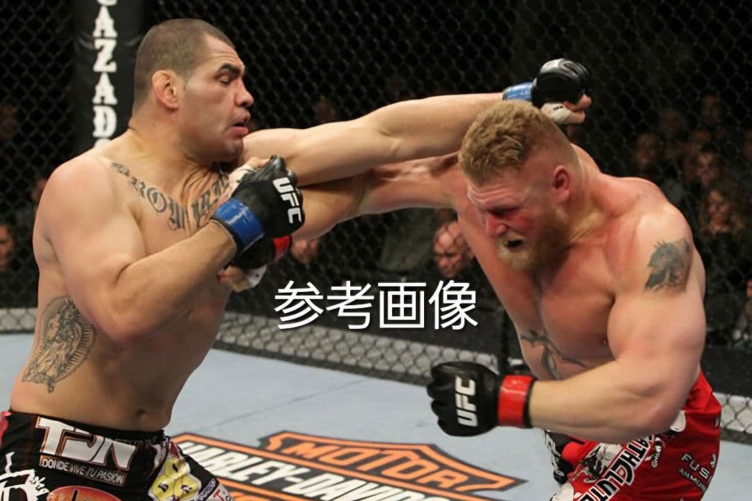 UFC ROUND5 フィギュア 限定版 ケイン・ヴェラスケス - メルカリ