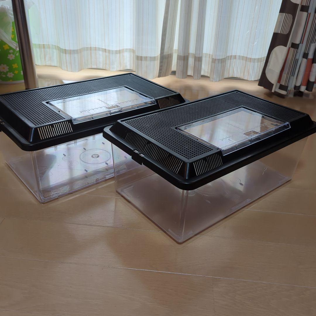 NISSO プラケース 特大 クワガタ カブトムシ 爬虫類 飼育ケース 2