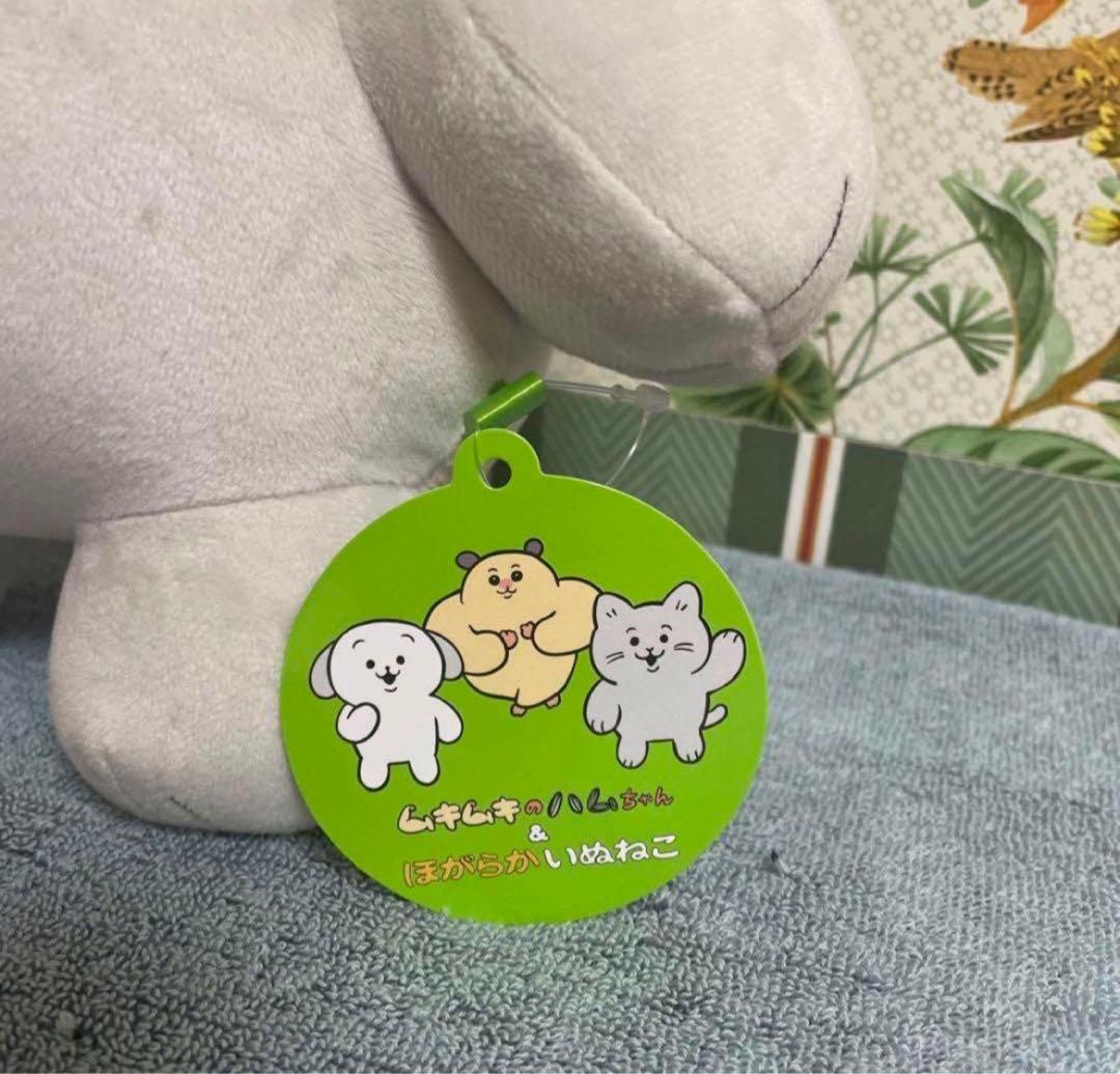 ムキムキのハムちゃん＆ほがらかいぬねこ BIGぬいぐるみ ねこ ラウンド