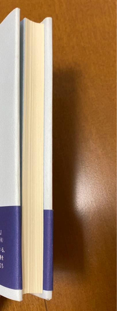 続・すべては患者のために―医療都市「旭中央病院」諸橋芳夫の