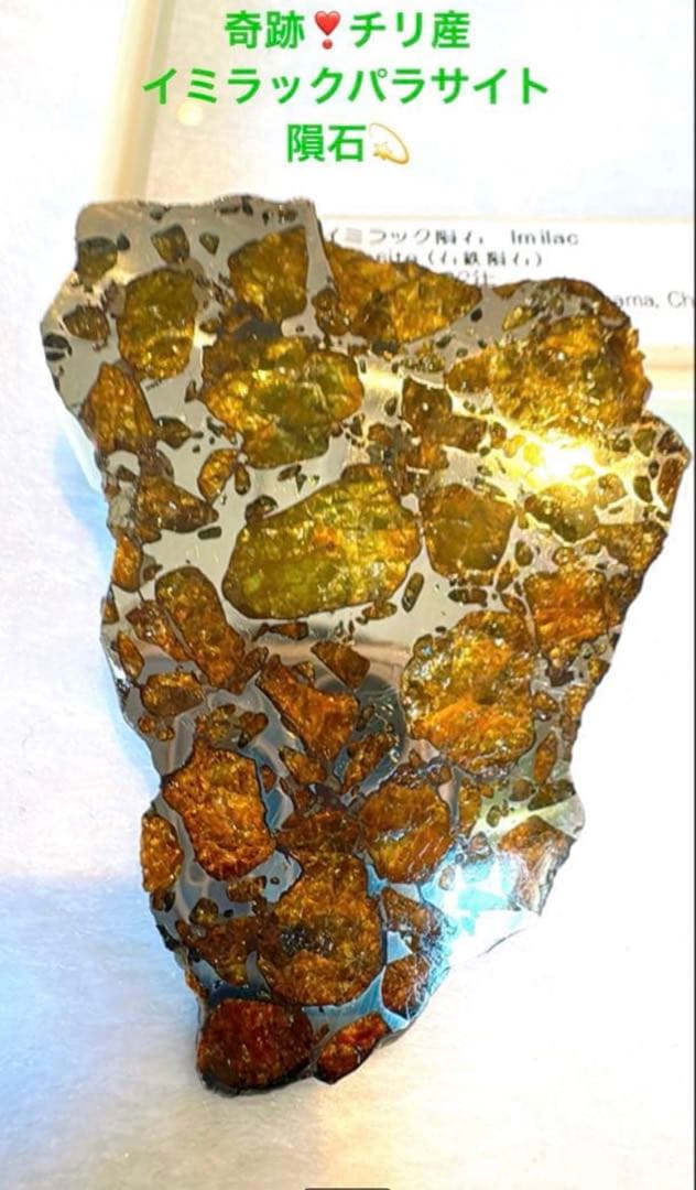 【存在感が段違い】28.0g イミラックパラサイト隕石標本（東京サイエンス購入）