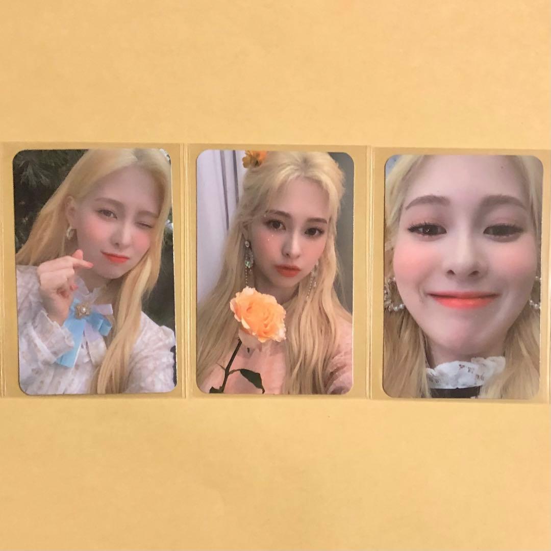 DIA イェビン YEBIN flower 4seasons トレカ 3枚セット zinnia-carrousel-mix-mac-1.jpg